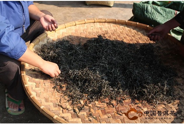 易武刮風寨普洱茶