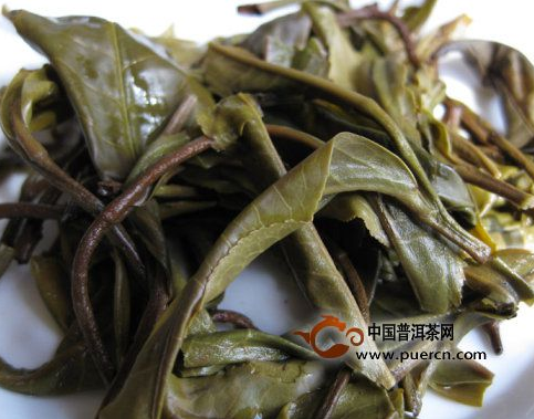 看圖來(lái)辨別普洱茶原料春、秋、夏（雨水料）