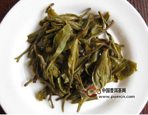 春茶葉底