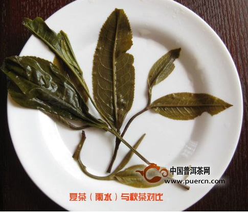 http://www.puercn.com/uploadfile/201408/20140830025636900.jpg